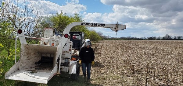 Clearing pasture fence row along cornfield