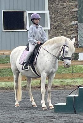 Fun day with kids. Student on Mellie. She is showing off how nicely she halts.  Meow is a dressage horse.