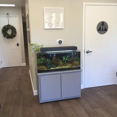 There is a fish tank, so you can always stare at fish if you're bored :")