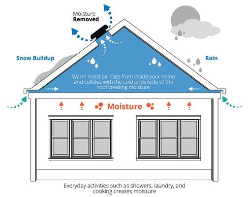 Solar Powered Attic Fans