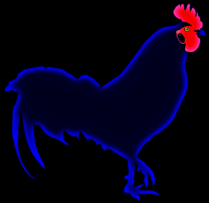 Black Cock