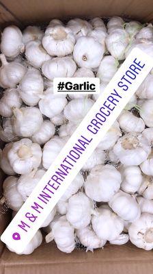 Garlic