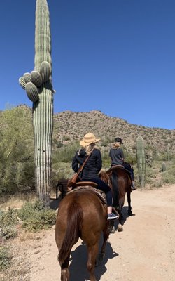 Nice views of the San Tan mountains