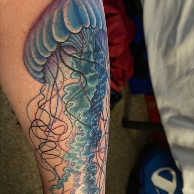 Jellyfish