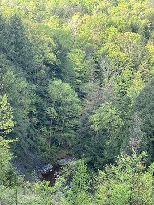 Chautauqua Gorge State Forest