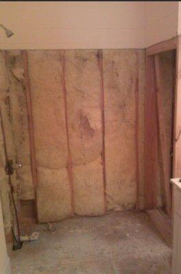 Shower Remodel Before