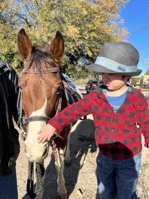 First time petting a horse let alone ride one