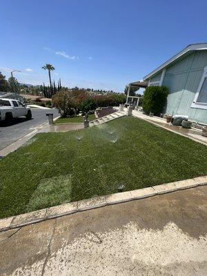 *AFTER* Sod installed