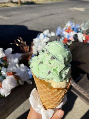 Mint chocolate chip and vanilla bean ice cream (single size) in waffle cone