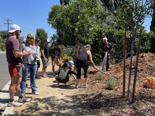 During the spring and summer, we host monthly garden workshops and learn how to improve our community spaces and grow more of our own food.