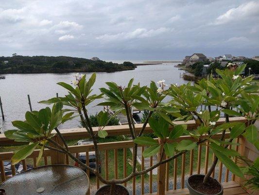 View of the launching area for paddle boarding and kayaking. Beautiful sunsets are also here.