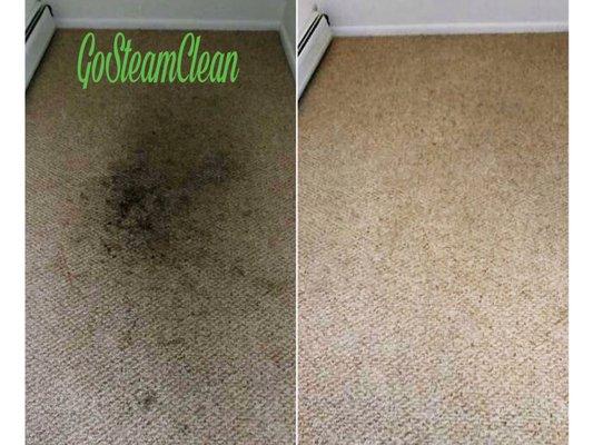 At GoSteamClean we love removing heavy stains that our customers may have. Removing stains and smells that the carpet may have had.