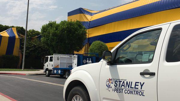 Pest and Termite Control Services