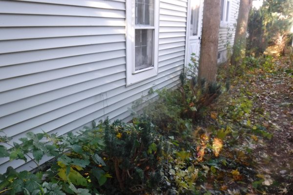 Keeping vegetation and soil away from the wood structure of the home is very important for avoiding pests and wood rot.