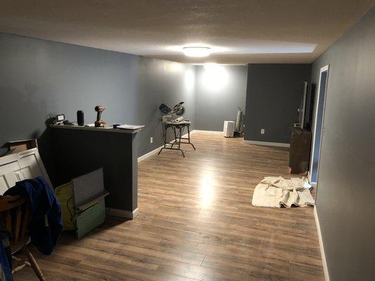 Recent Basement remodel after