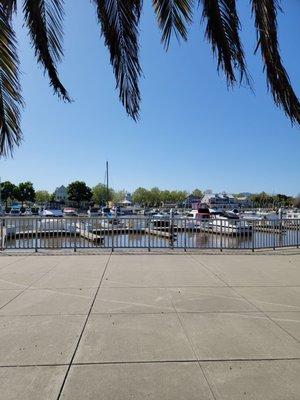 Solano Yacht Club