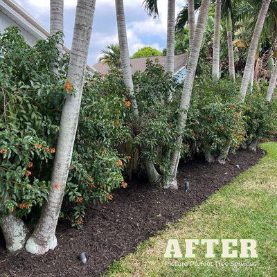 Some quick mulch installation over the weekend!