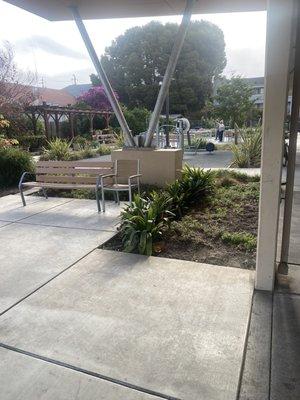 Garden area . Over watered plants getting better