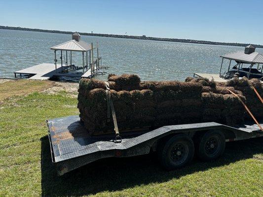 Sod Installation Rowlett , Tx Lakeside