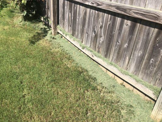 Grass blown on the fence rather than being bagged like we paid for