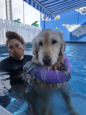 14 year old Lukes' last swim with Taylor at Tailwaggers Massage, his beloved weekly activity for six years.