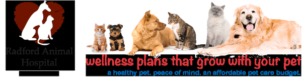 Please call our office for more information on monthly wellness plans for pets of all ages