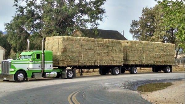 New hay arrives today!