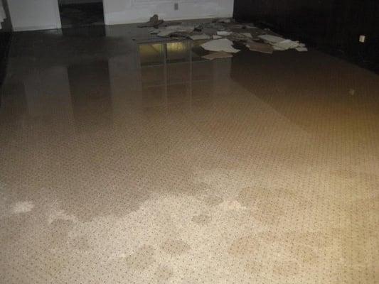 Water Damage Carpet