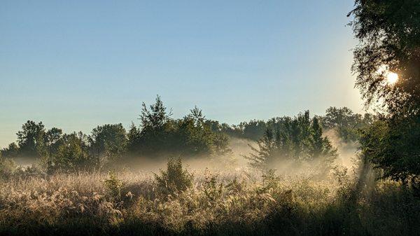 Late summer, cool morning sunrise