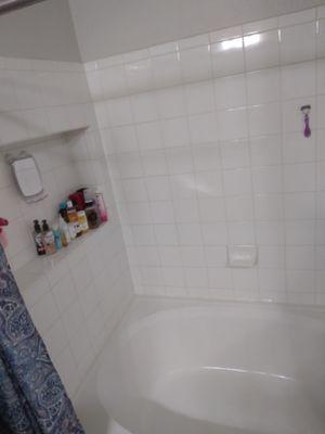 Clean Tub/Shower