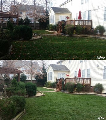 Before & After Leaf Service