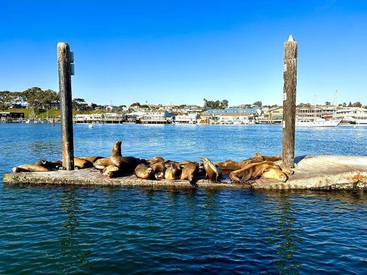 Morro Bay Boat Rentals