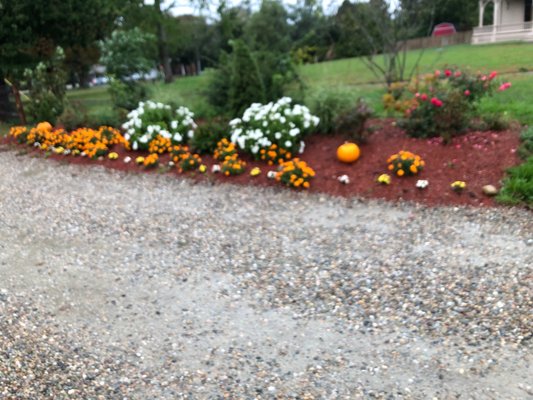 Flowers and mulch