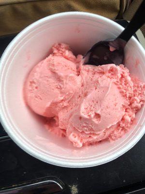 Regular size "strawberry" custard in a cup