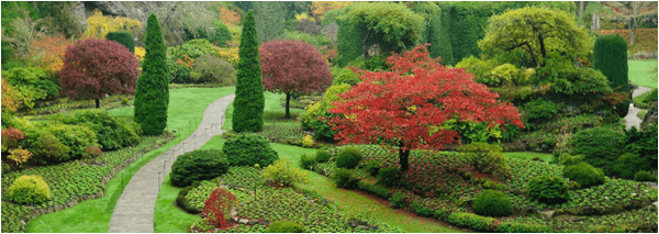 A East End Tree & Lawn Spraying