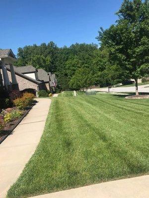 Edging mowing and hedging