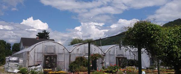 Stadler Greenhouses