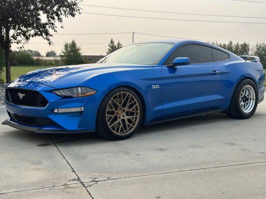 Mustang with paint correction with ceramic coating