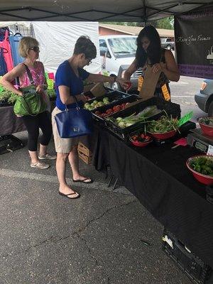 South University Farmer's Market