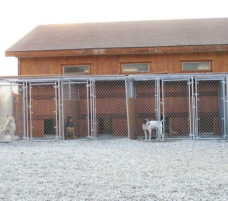 The small exercise area: 50 x 70 feet of clean gravel. 6 foot fence. 40 gallon trough for splashing in summer.