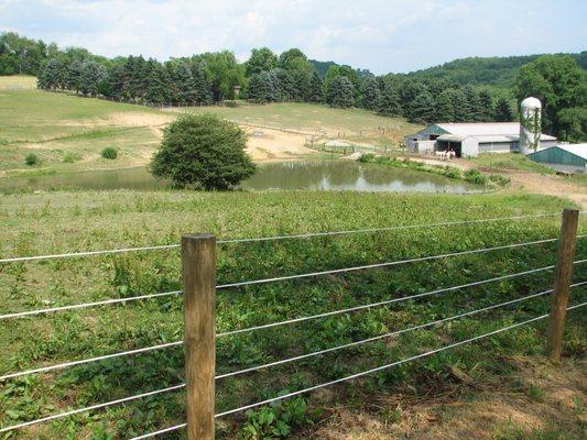 Newer horse coat fence line