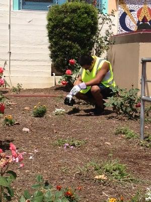 Planting at local communities.