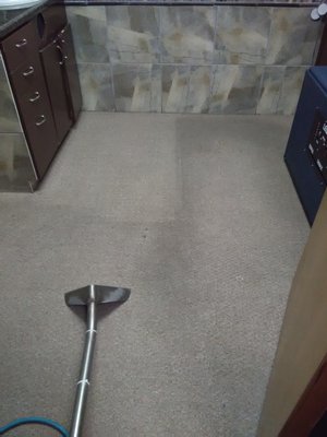 Carpet Restoration