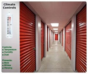 Do you really need climate controlled storage?