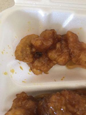 A COCKROACH IN MY ORANGE CHICKEN!!!...