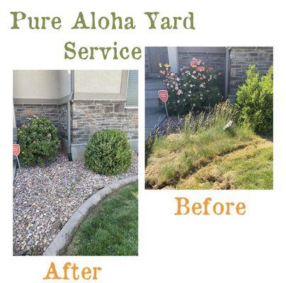 Pure Aloha Yard Services