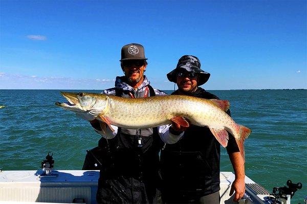 49.5" Muskie