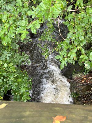 Stream of water