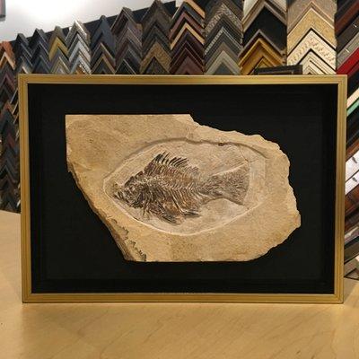 Custom framing can make your unique finds even more spectacular!