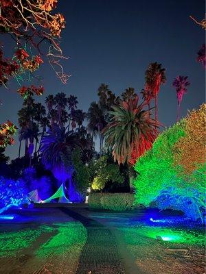 A Winding Walking Trail with Numerous Themes of Holiday Lights, Music & Decorations @ Lightscape @ The LA Arboretum. Dec.2022